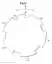 Fig. 07 - Rotor for an electrical machine