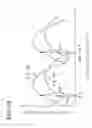 Fig. 13 - Metal detector
