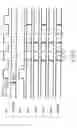 Fig. 07 - Data input/output circuit included in semiconductor memory device
