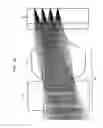 Fig. 17 - Image display apparatus and method