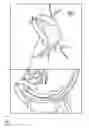Fig. 02 - Method for representing preoperatively recorded three-dimensional image data when recording two-dimensional X-ray images