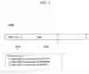 Fig. 07 - Radio video transmission system and method