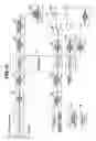 Fig. 09 - Digital camera with electronic zooming function