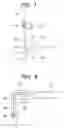 Fig. 07 - Multi-function input switch and photographing apparatus therewith