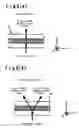 Fig. 03 - Optical element employing liquid crystal having optical isotropy