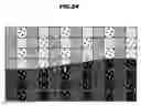 Fig. 22 - Printing apparatus and program thereof
