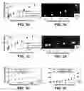 Fig. 03 - Method and apparatus for electro-optical and all-optical beam steering, self-deflection and electro-optic routing