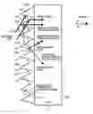 Fig. 01 - Fresnel optical element and projection display device