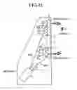 Fig. 37 - Fresnel optical element and projection display device