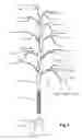 Fig. 04 - Tabletop wind chime