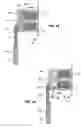 Fig. 33 - Residual magnetic devices and methods