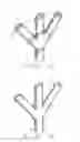 Fig. 05 - Decoration connected with ELY