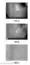 Fig. 03 - Decorative optical display