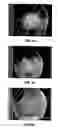 Fig. 05 - Decorative optical display