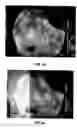 Fig. 06 - Decorative optical display