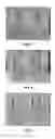 Fig. 07 - Decorative optical display