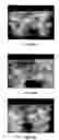 Fig. 08 - Decorative optical display
