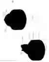 Fig. 02 - Floating candle holding device and method of use