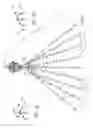 Fig. 02 - Christmas light arrangement