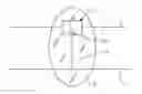Fig. 01 - Flexible conducting wire structure having light emitters