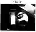 Fig. 04 - Lamp having an eggshell shade