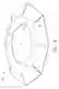 Fig. 09 - Foldable support for a domed illumination element