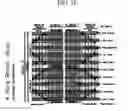 Fig. 18 - Integrated electronic non-volatile memory device having nand structure