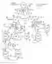 Fig. 01 - Arrangement for providing optimized connections between peer routers in a tree-based ad hoc mobile network