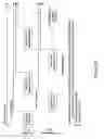 Fig. 22 - Efficient wireless transmission opportunity handoff