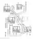 Fig. 45 - Partner node migration control unit and method