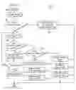 Fig. 06 - Network based routing scheme