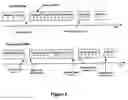 Fig. 04 - Detection of signatures in disordered message segments