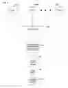 Fig. 05 - Managing queues of packets