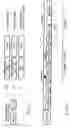 Fig. 04 - Moving image decoding apparatus