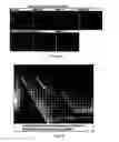 Fig. 12 - In-situ BWR and PWR CRUD flake analysis method and tool