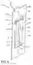 Fig. 05 - Four point contact structural spacer grid