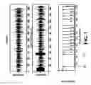 Fig. 08 - Speech watermark system