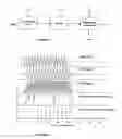 Fig. 07 - Method and apparatus for envelope detection and enhancement of pitch cue of audio signals