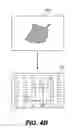 Fig. 09 - Image analysis of the golgi complex