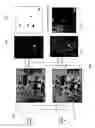 Fig. 05 - System and method for three dimensional change detection and measurement of a scene using change analysis