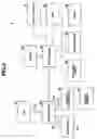 Fig. 04 - Image projection apparatus and image output apparatus