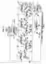 Fig. 11 - Image compression device and method