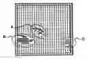 Fig. 01 - Method for capturing images comprising a measurement of local motions