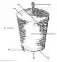 Fig. 01 - Wasp repellent device