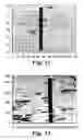 Fig. 14 - Optical bodies including rough strippable boundary layers and asymmetric surface structures