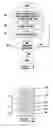 Fig. 02 - Multiple quantity print job separation systems and methods
