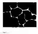 Fig. 06 - Castable magnesium alloys