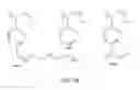 Fig. 28 - Multi-shell microspheres with integrated chomatographic and detection layers for use in array sensors