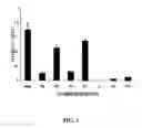 Fig. 06 - Constructs binding to phosphatidylserine and their use in disease treatment