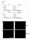 Fig. 08 - Constructs binding to phosphatidylserine and their use in disease treatment